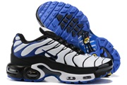 Nike Air Max TN 8909-309